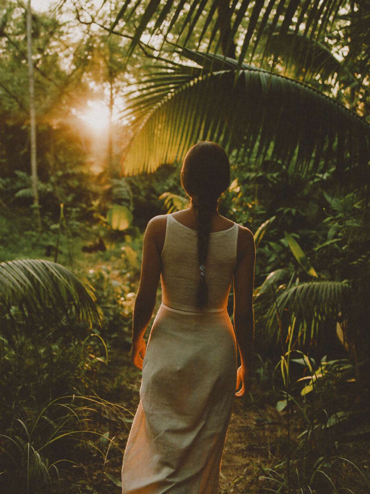 A figure among jungle leaves at golden hour, light coming through from behind
